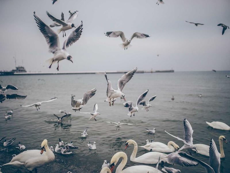 sudoku leaderboard screenshot 6